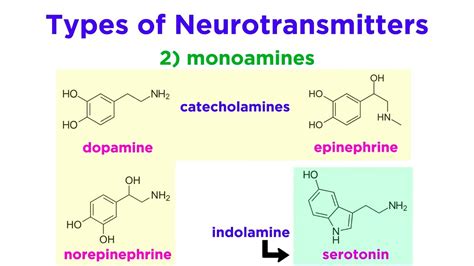 are percocets similar to neurotransmitters